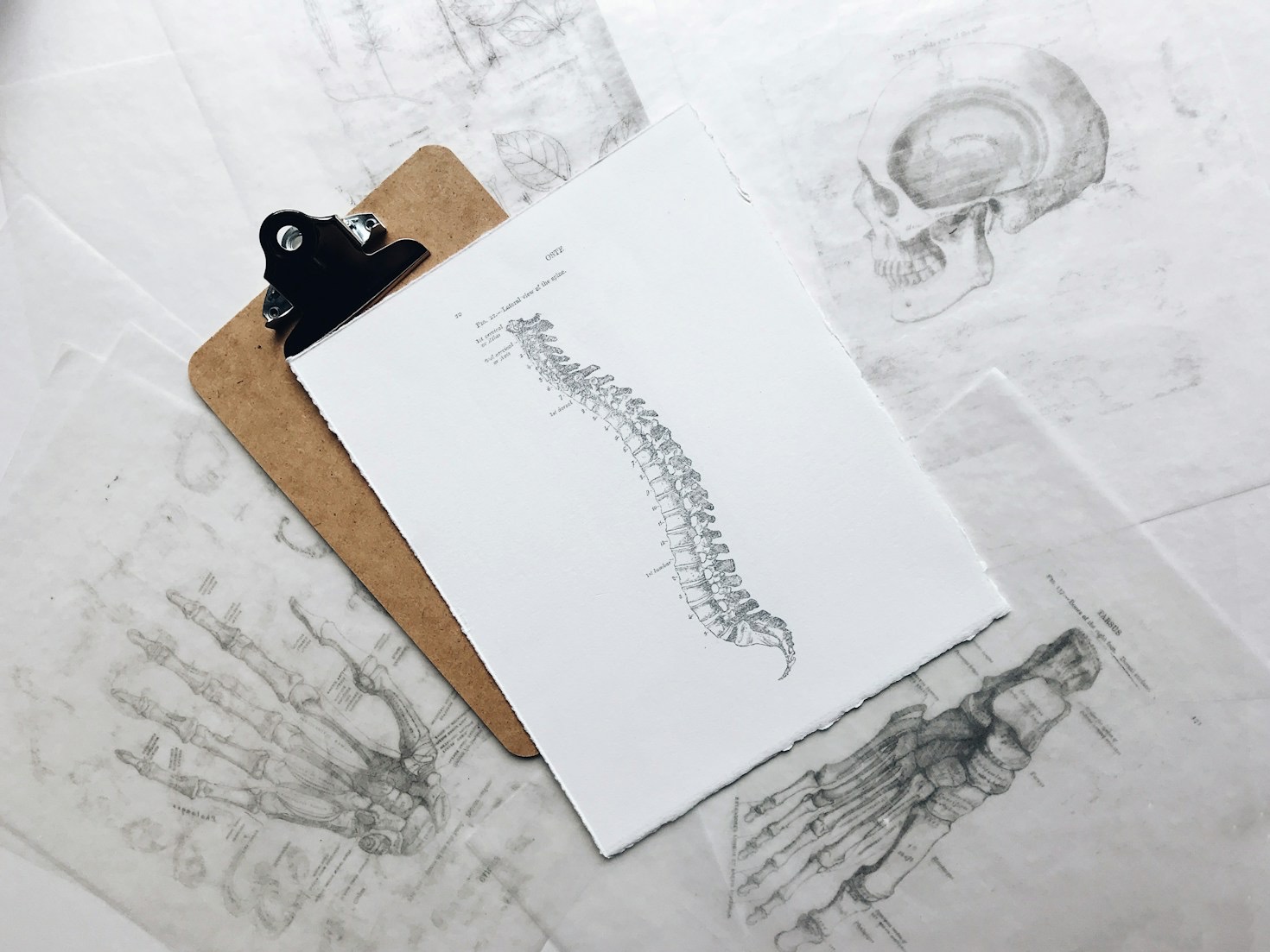 The Importance of Evidence-Based Chiropractic Care