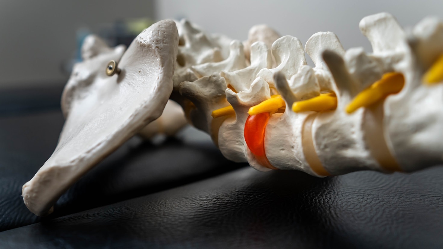 Understanding the Benefits of Chiropractic Adjustments